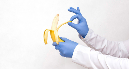 Image representing Understanding Circumcision: A Guide for Parents