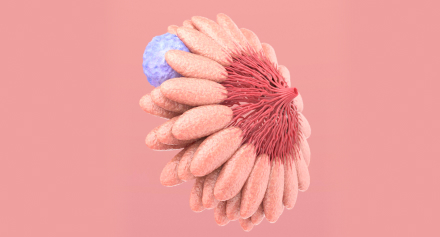 Image representing Living with Metastatic Breast Cancer: Navigating Treatment and Finding Hope